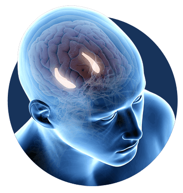 billionaire-brain-wave-programs